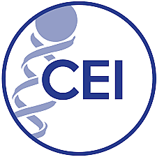 Cap 5. DE LAS INVESTIGACIONES EN GRUPOS SUBORDINADOS.