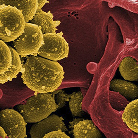 Cap I. DE LA INVESTIGACIÓN CON MICROORGANISMOS PATÓGENOS O MATERIAL BIOLÓGICO QUE PUEDA CONTENERLOS.