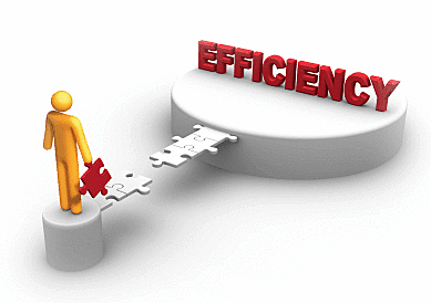 12 principios de la eficiencia