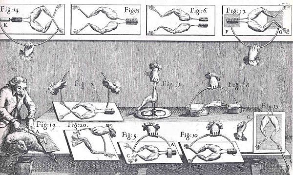Luigi Galvani: naturaleza eléctrica del impulso nervioso