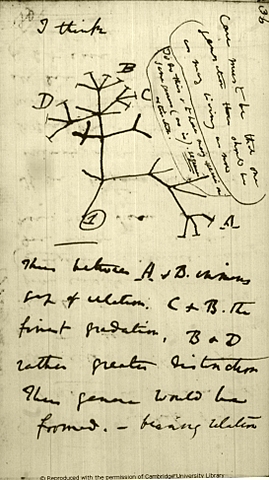 Darwin Goes Public with Theory of Evolution