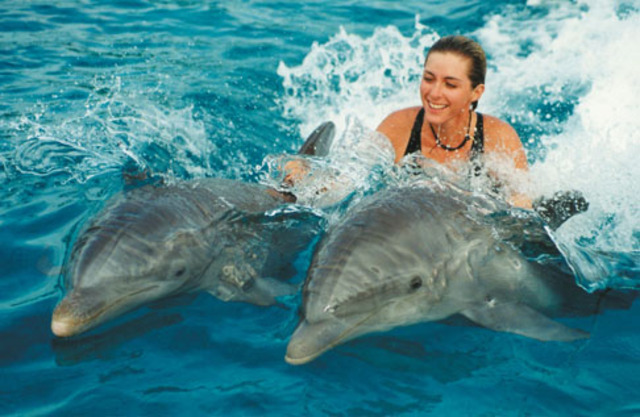 the day one of my dreams come true swimming with dolphins