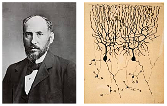 SANTIAGO RAMÓN Y CAJAL