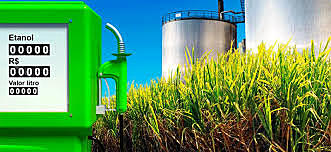 El inicio del biocombustible