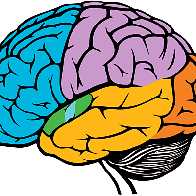 Timeline: Historia de la neuropsicología clínica