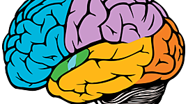 Timeline: Historia de la neuropsicología clínica