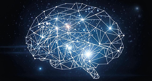 El cerebro en el 7020