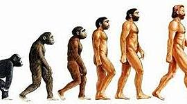 Timeline: Charles Darwin (February 12th, 1809 - April 19th, 1882)