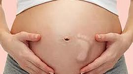 Timeline: EL EMBARAZO