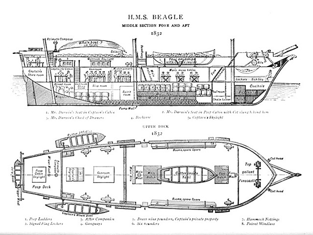 Voyage begins on the HMS Beagle