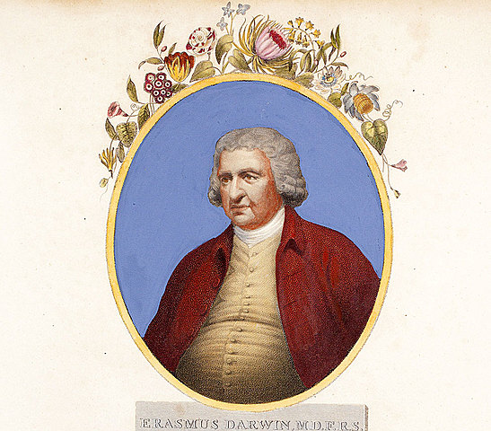 Darwin se incorporó junto a su hermano Erasmus a la cercana escuela anglicana de shrewsbury como pupilo