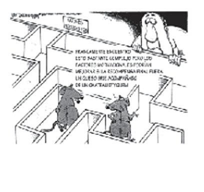 PSICOLOGIA COGNOCITIVISTA: EE UU  EDWARD CHACE TOLMAN