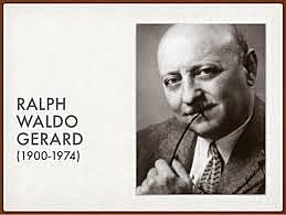 UNIDADES CURRICULARES