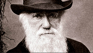 Darwin empieza a ser una celebridad en los círculos