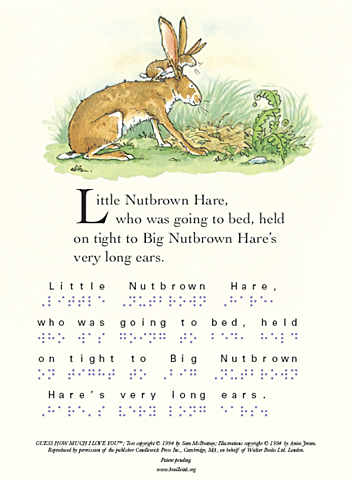 Standard English Braille is adopted