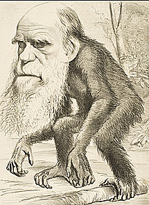 Darwin publica "La ascendencia del hombre"