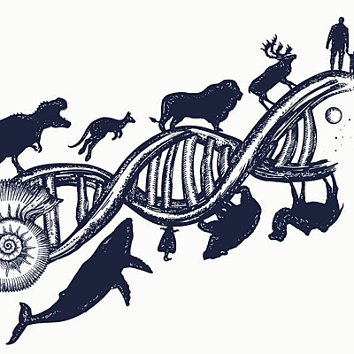 Timeline: Historia de la investigación (UMB)