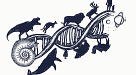 Timeline: Historia de la investigación (UMB)