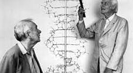 Timeline: Principales descubrimientos del DNA