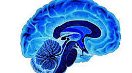 Timeline: Evolucion de la Neurociencia de la Conducta