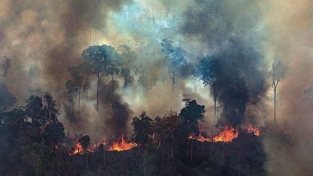 Incendio del amazonas
