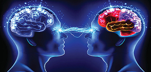 ANTONOJEVICK Y CHADWICK (1981-1983)