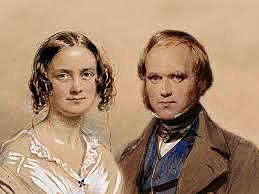 ordena su especimenes y se casa