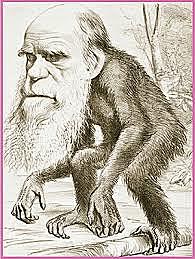 distintas reacciones