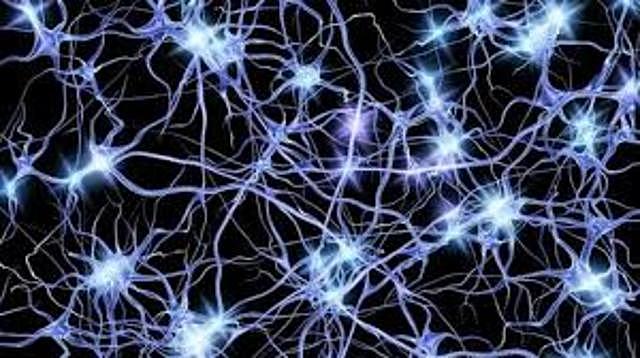 EL SURGIMIENTO DE LA PRIMERA AGRUPACIÓN NEURONAL