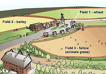 The Three Field System of Crop Rotation
