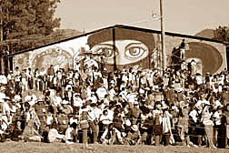 Asociación Nacional de Profesionistas Indígenas Bilingües