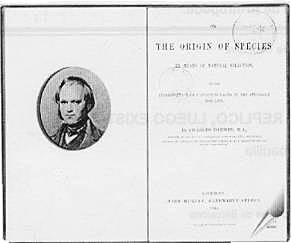 La evolución por selección natural