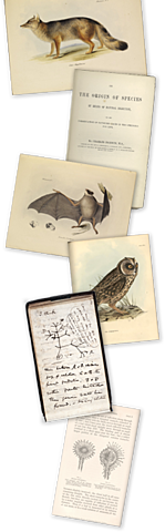 First Landing of H.M.S Voyage