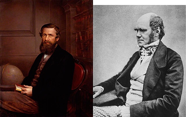 Como se gesto la teoria de la evolucion