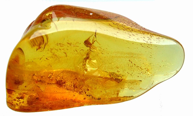 Tales de Mileto y el Ámbar