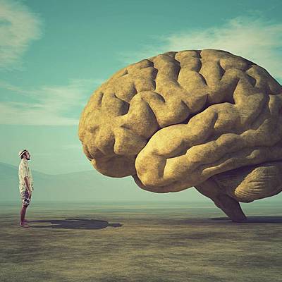 Timeline: ¿De dónde viene y para dónde va el cerebro?