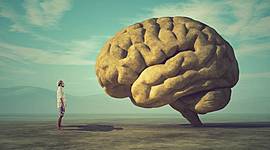 Timeline: ¿De dónde viene y para dónde va el cerebro?