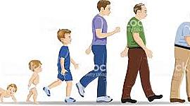 Timeline: ETAPAS DEL DESARROLLO HUMANO