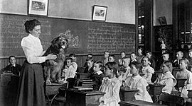 Timeline: Educational Historical Events