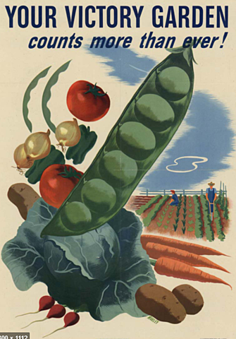 Victory Gardens Become Important Political, Economic Tool
