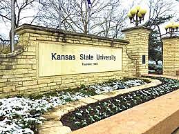 Curso continuado del estudio de la Sociología.(Augusto Comte)