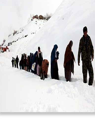 Mortales monzones en India