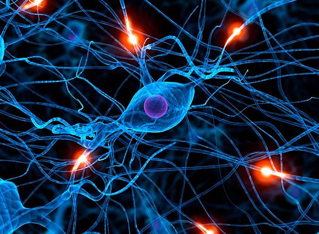 Agrupación de neuronas.