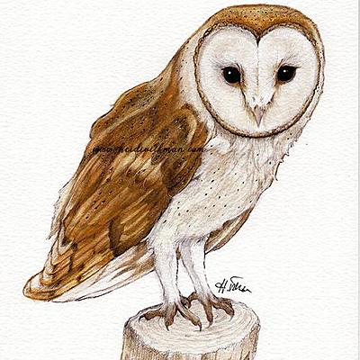 Timeline: Linea del Tiempo del Conocimiento