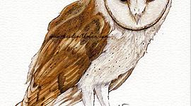 Timeline: Linea del Tiempo del Conocimiento