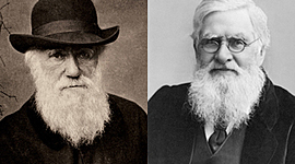 Timeline: Biografía de Charles Darwin y Alfred Wallace