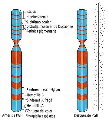 SECUENCIACION DEL 90% DEL GENOMA HUMANO