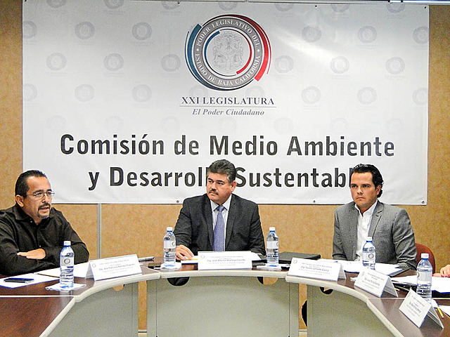 Comisión de medio ambiente y desarrollo.