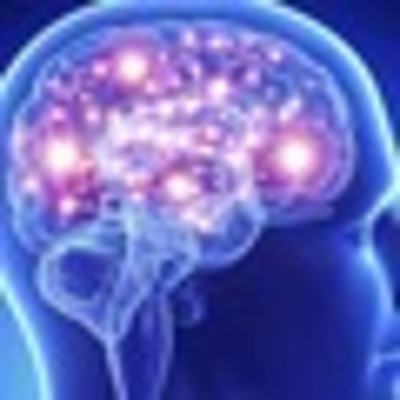 Timeline: Historia y evolucion del cerebro