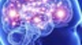 Timeline: Historia y evolucion del cerebro